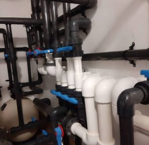 WhatsApp Image 2024-08-18 at 17.29.40 (1)