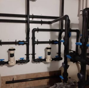 WhatsApp Image 2024-08-18 at 17.29.40