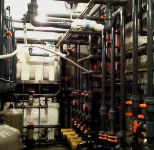 WhatsApp Image 2024-08-18 at 17.29.41