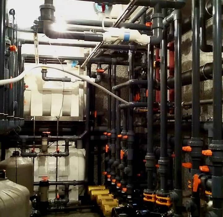 WhatsApp Image 2024-08-18 at 17.29.41