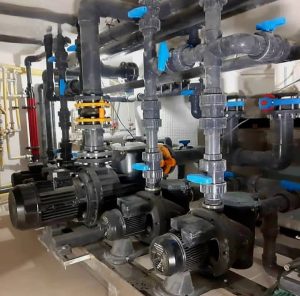 WhatsApp Image 2024-08-18 at 17.29.42