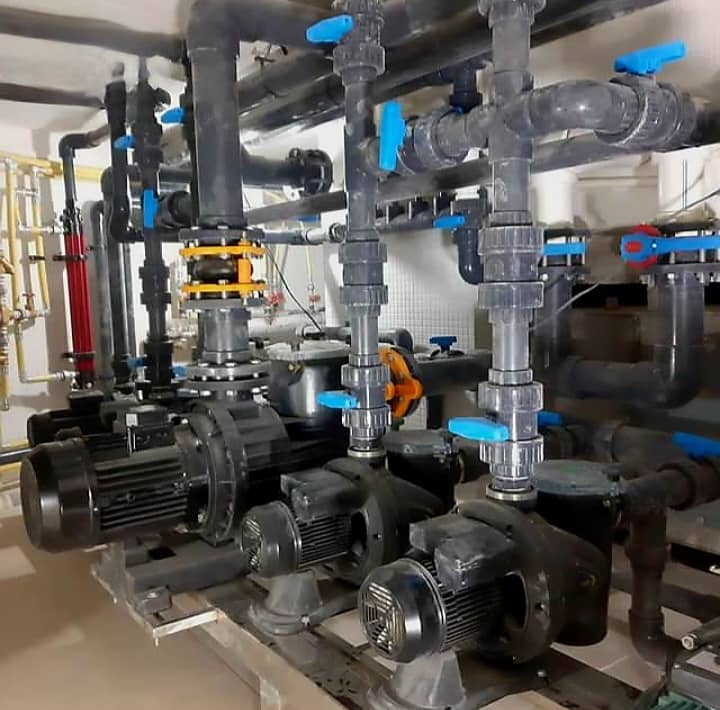 WhatsApp Image 2024-08-18 at 17.29.42