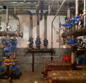 WhatsApp Image 2024-08-18 at 17.29.43