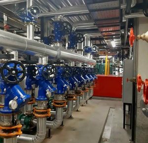 WhatsApp Image 2024-08-18 at 17.29.45 (2)